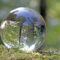 Der Blick in die Kristallkugel reicht nicht, um als institutioneller Investor Greenwashing zu erkennen und zu verhindern.