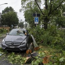 Am Freitag vergangener Woche hatte eine heftige Gewitterfront grosse Hagel- und Sturmschäden verursacht.