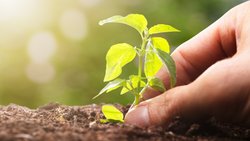 En matière d'investissement durable, les caisses de pension suisses ont encore une grande marge de progression.