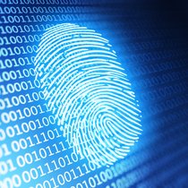 Der Umgang mit digitalen Personendaten erfordert von Mitarbeitenden bei Versicherungen Achtsamkeit und Fingerspitzengefühl.