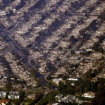 Les incendies de forêt à Los Angeles ont causé des milliards de dollars de dégâts.