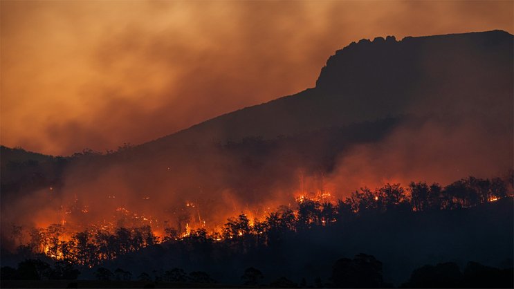 Angefacht von einer Hitzewelle haben die Brände im Südosten Australiens Häuser und grosse Waldflächen zerstört.