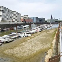 Der Rhein ist in Köln so niedrig wie noch nie. In der Nacht zu Sonntag fiel der Pegel auf nur 45 Zentimeter und damit deutlich unter den bisherigen Tiefststand. Für die Schifffahrt wird das zunehmend zum Problem. 