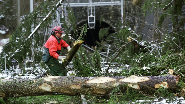 Ein Mitarbeiter des Forstdienstes der BLS-Bahnen, traegt am Montag, 27. Dezember 1999 bei Mitholz BE Holz von den Geleisen der Loetschbergbahn. Am Vortag hatten die Orkane Kurt und Lothar Baeume geknickt, die das Trassee bedecken und Fahrleitungen beschaedigten. (KEYSTONE/Alessandro della Valle)