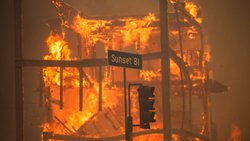 Les incendies de forêt à Los Angeles constituent le sinistre lié aux incendies de forêt le plus important jamais enregistré dans les statistiques de Sigma.