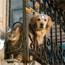 Die Haustierpopulation in Spanien hat sich im letzten Jahrzehnt mehr als verdreifacht. 