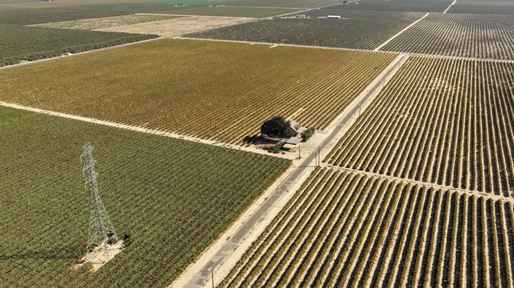 Luftaufnahme von landwirtschaftlichen Feldern in der Nähe von Raisin City, Kalifornien.