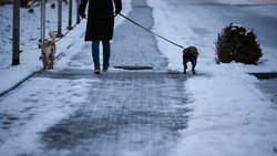 En hiver, le verglas requiert toute notre attention. Protégez-vous et protégez les autres en appliquant de simples mesures de sécurité lorsque vous êtes à pied et sur la route.